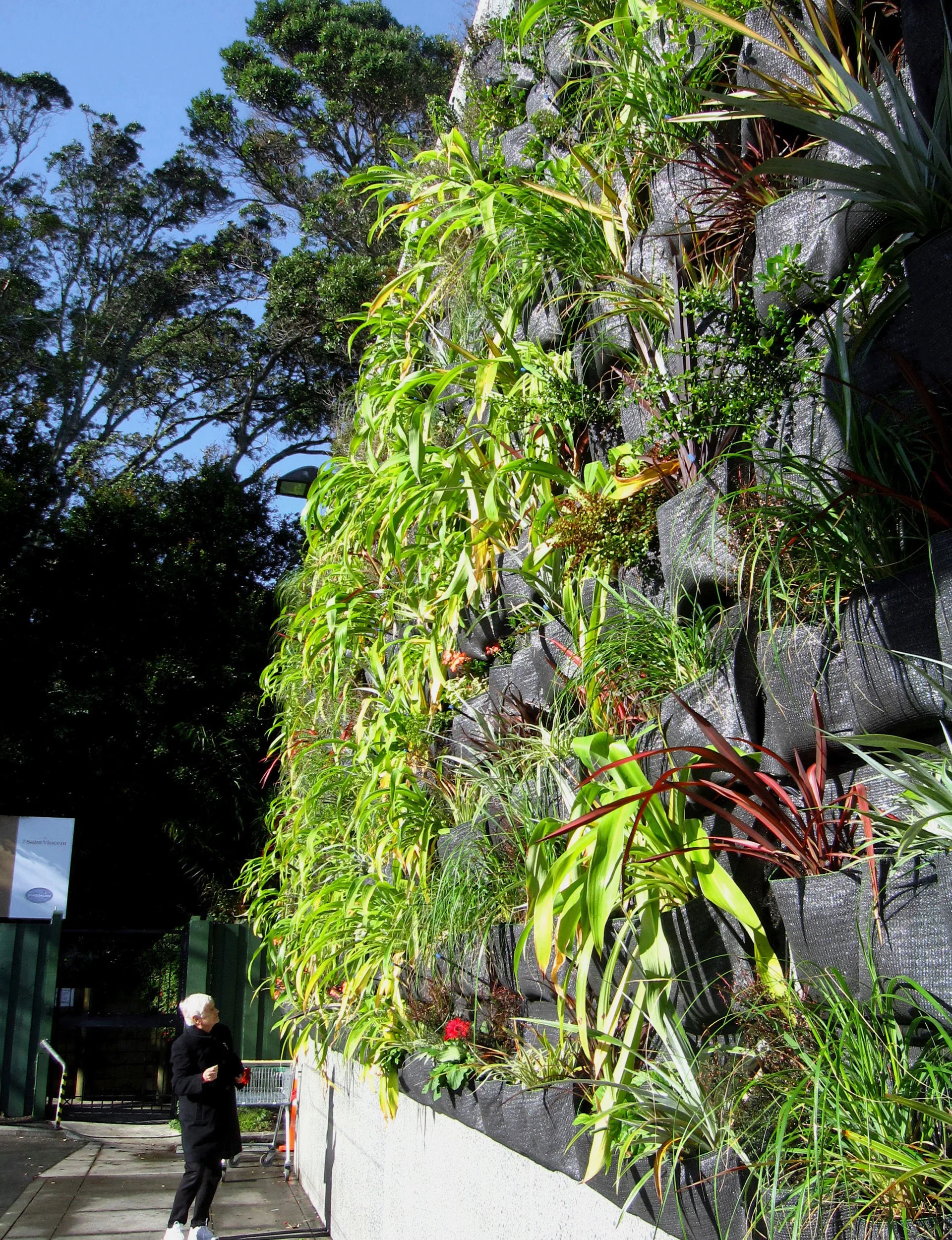 livingWall2
