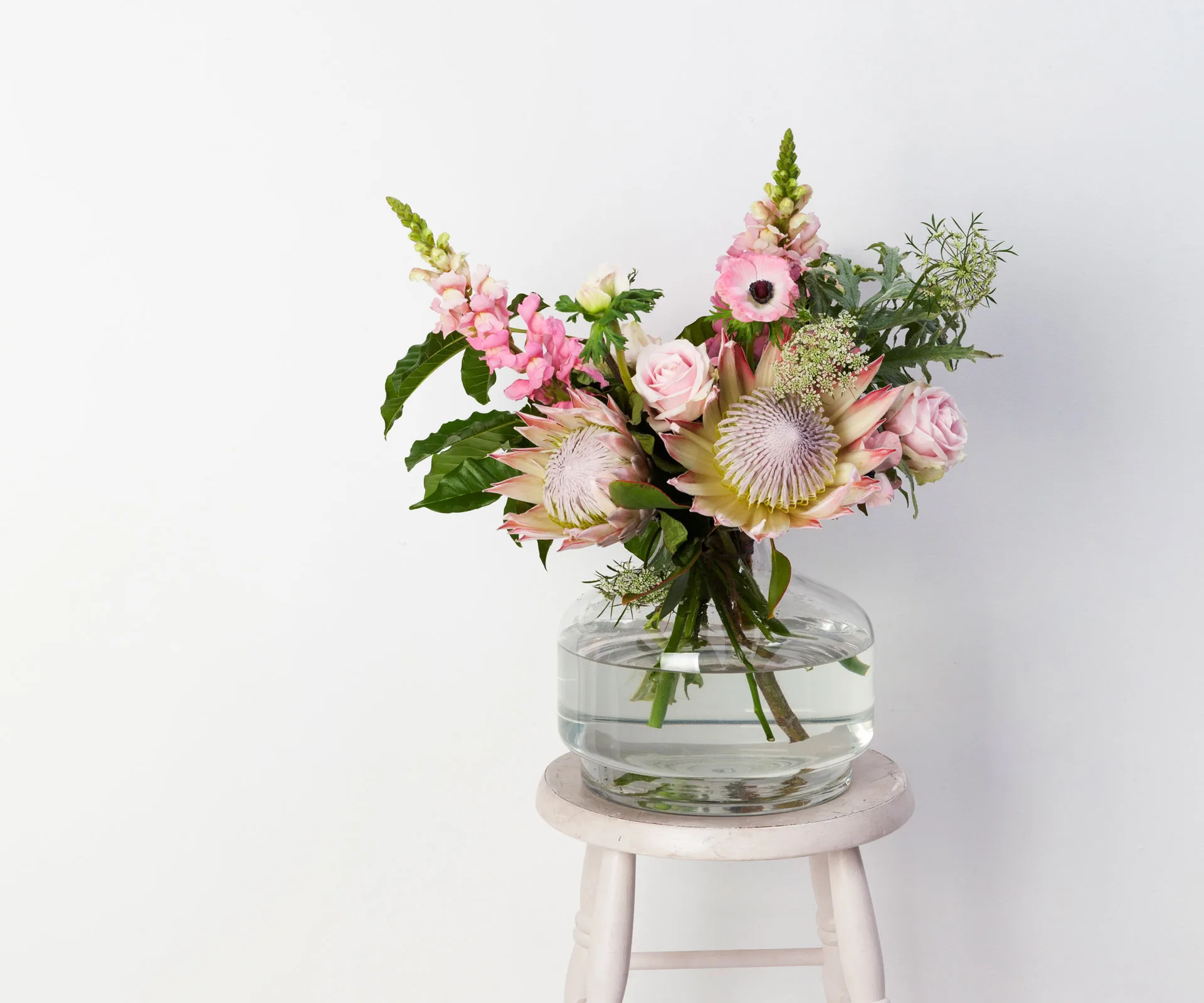 proteas