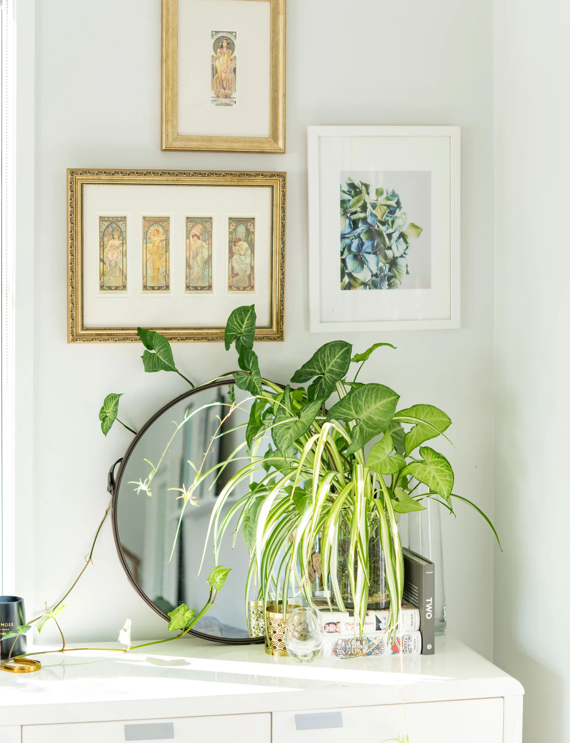 Auckland renovation