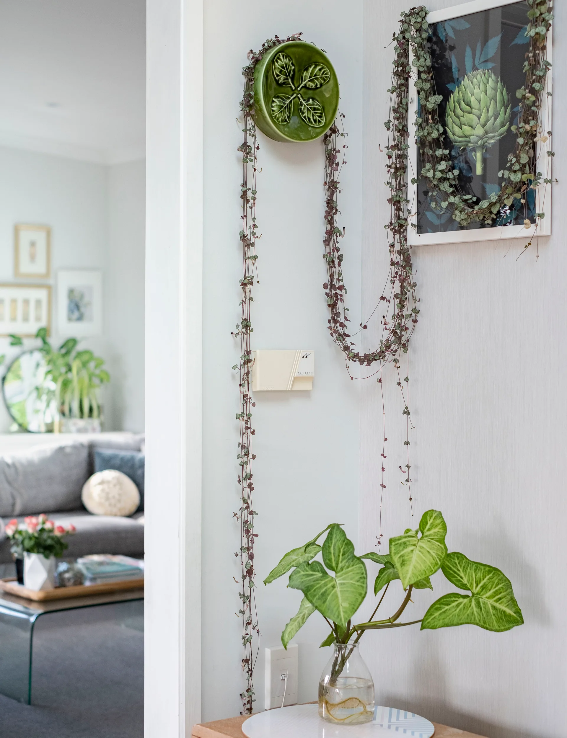 Auckland renovation