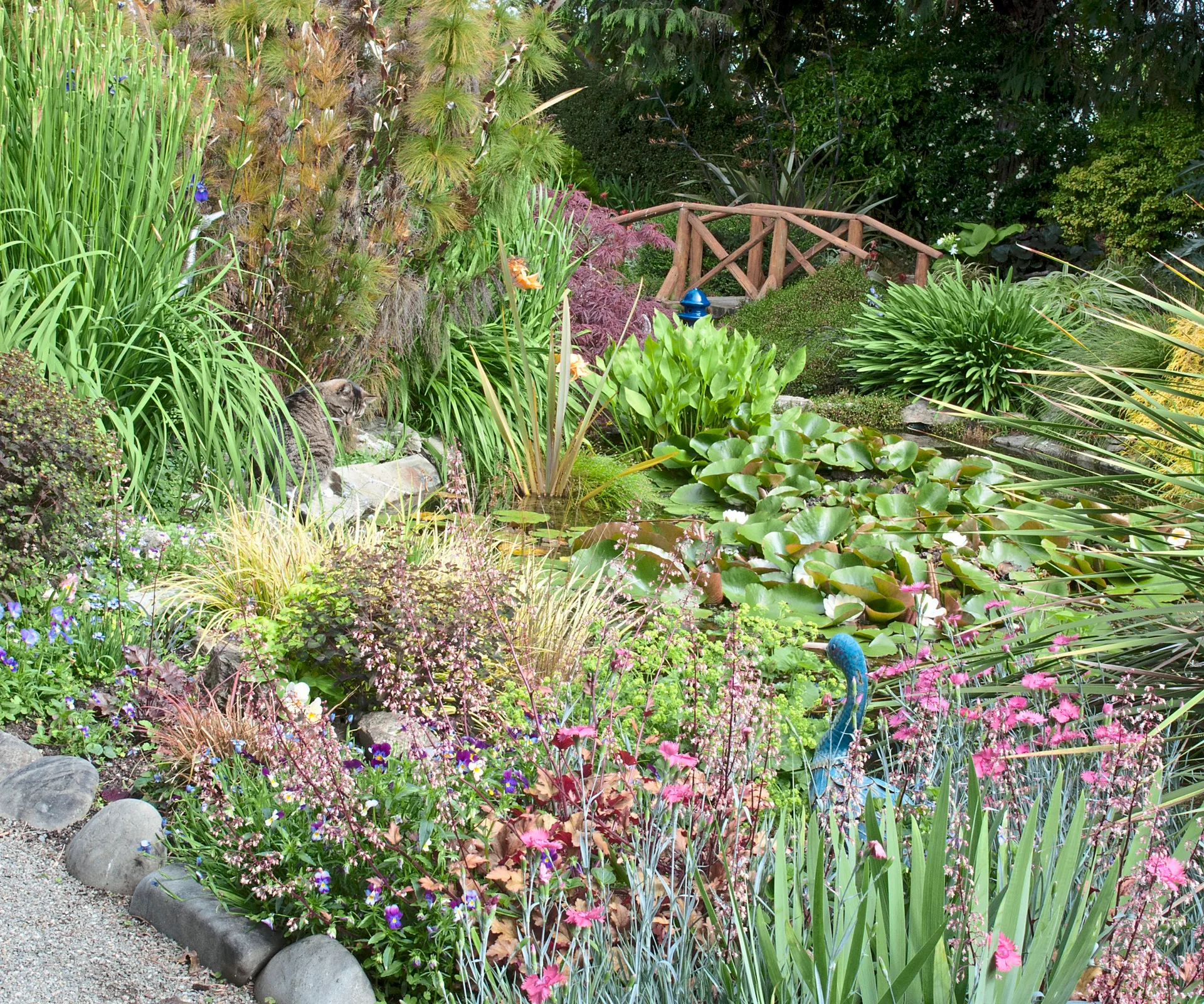 Garden Marlborough