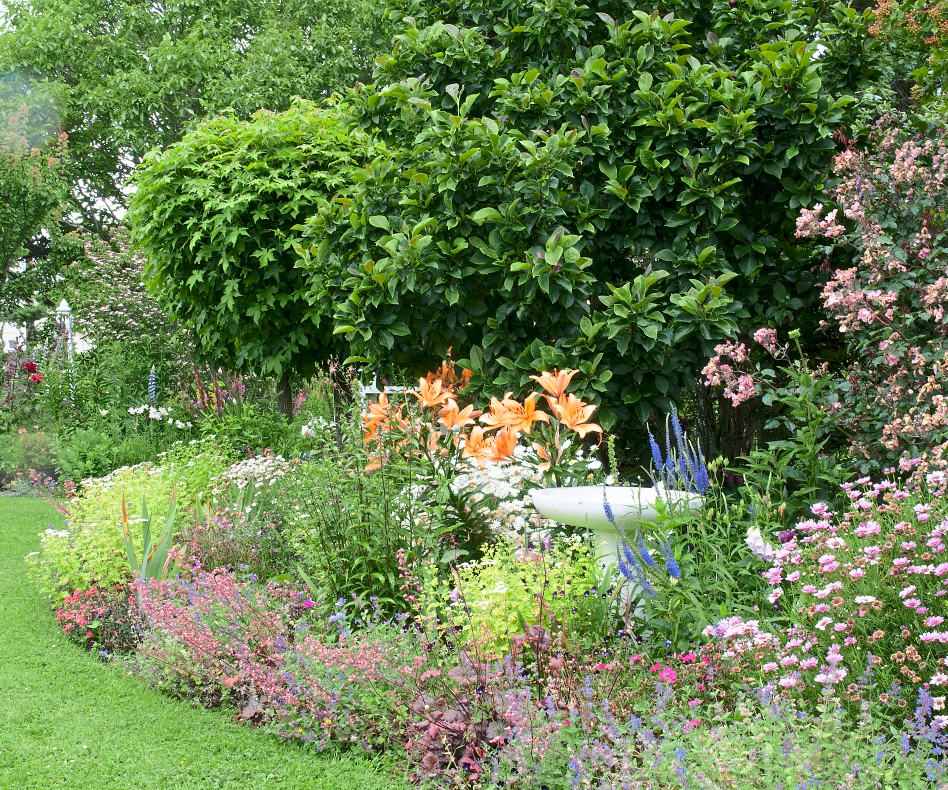 Garden Marlborough