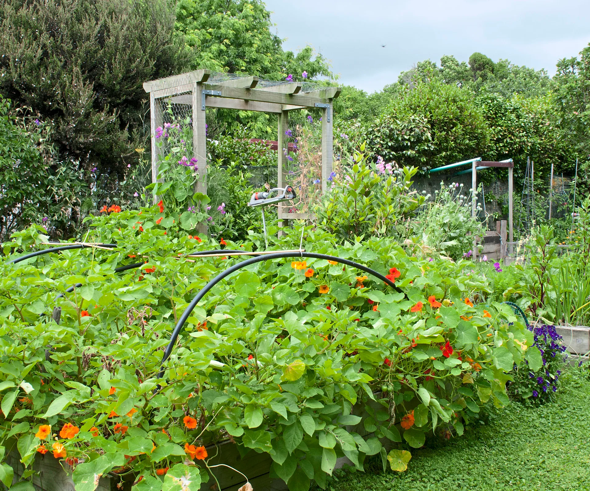 Garden Marlborough