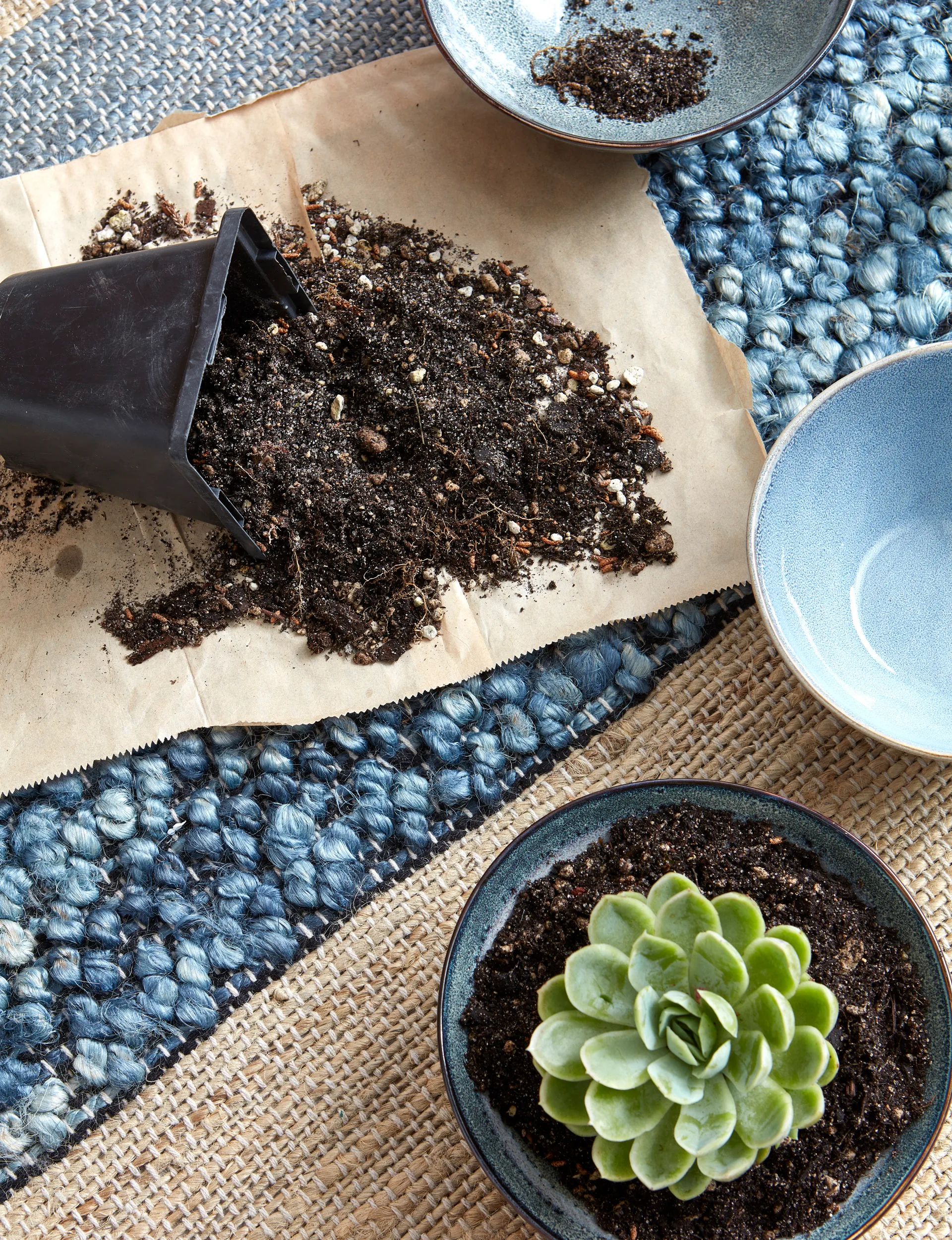 indoor plants plant pot hack