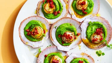 Several scallops served in their shells with Champagne and green pea sauce.