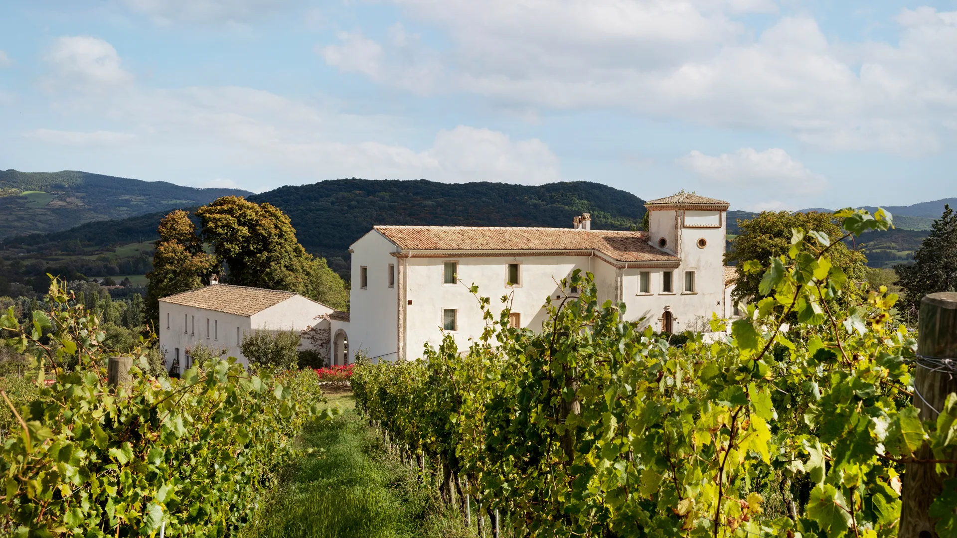 Exterior of Italian coutnryside villa with grape vines in foreground. Location of Michelin star restaurant Italy Ristorante Reale