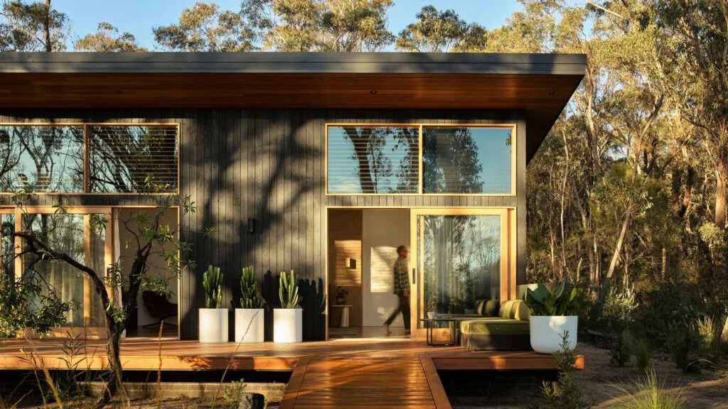 Black wood exterior of luxury Blue Mountains tiny home Chalets at Blackheath, surrounded by bushland