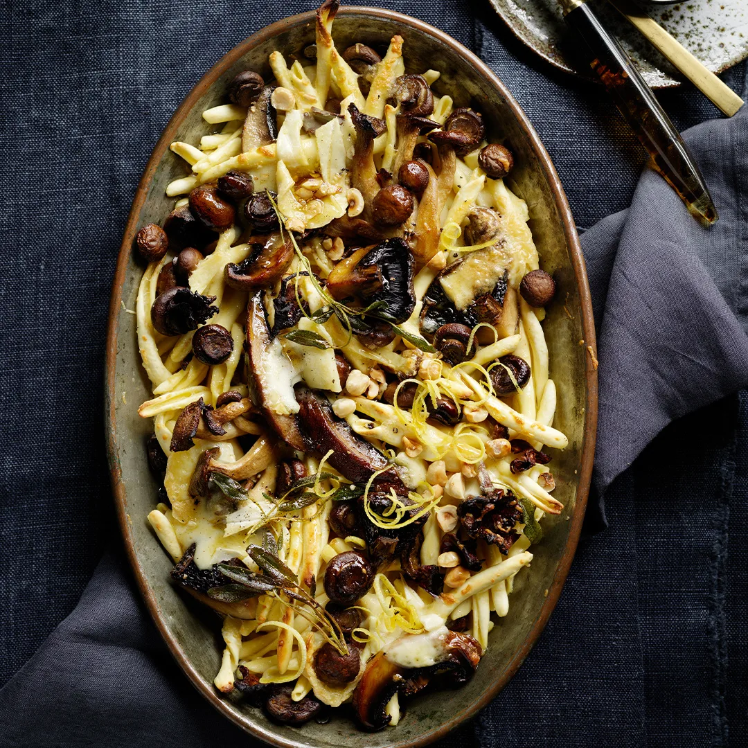 Mushroom and fontina maccheroni in serving dish on dark bacikground.