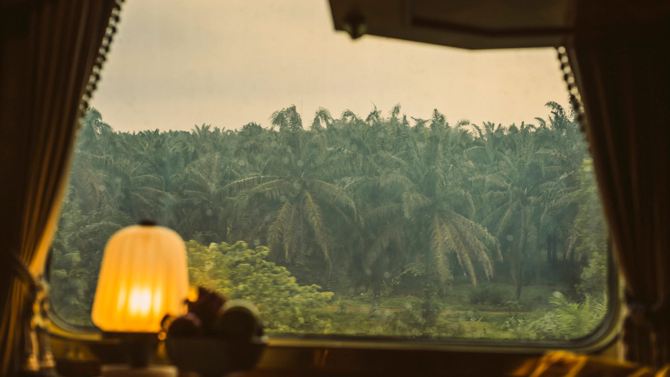 The view from the Eastern & Oriental Express as it travels through Malaysia.