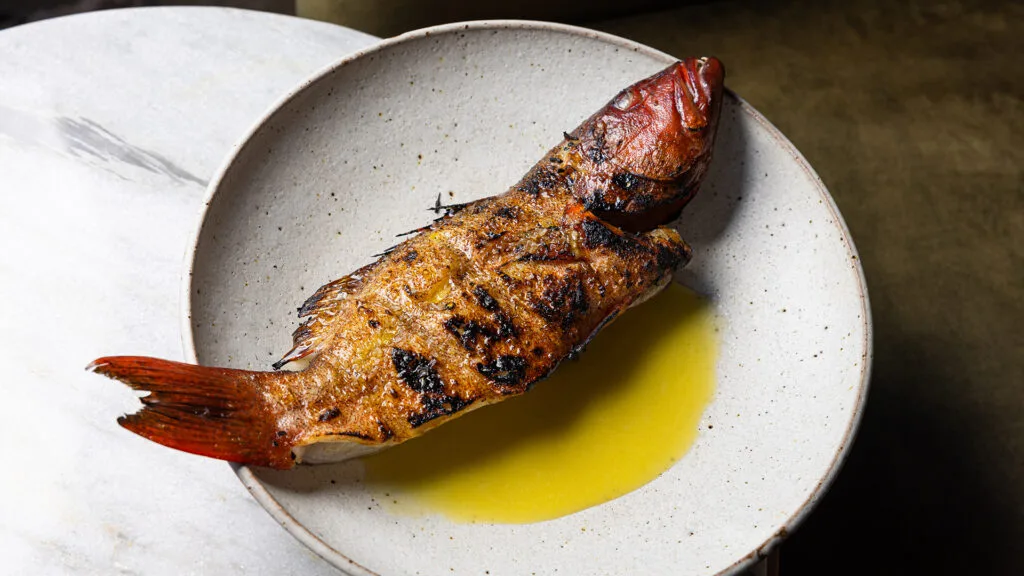 Charred coral trout on white plate at Bosco restaurant in Brisbane.