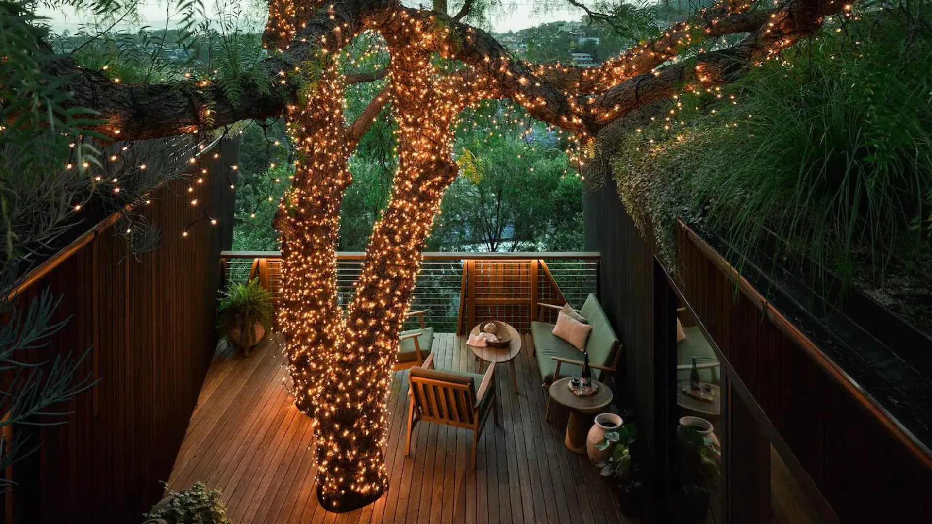 Pepper Tree Passive House's main tree and deck, lit up with fair lights.