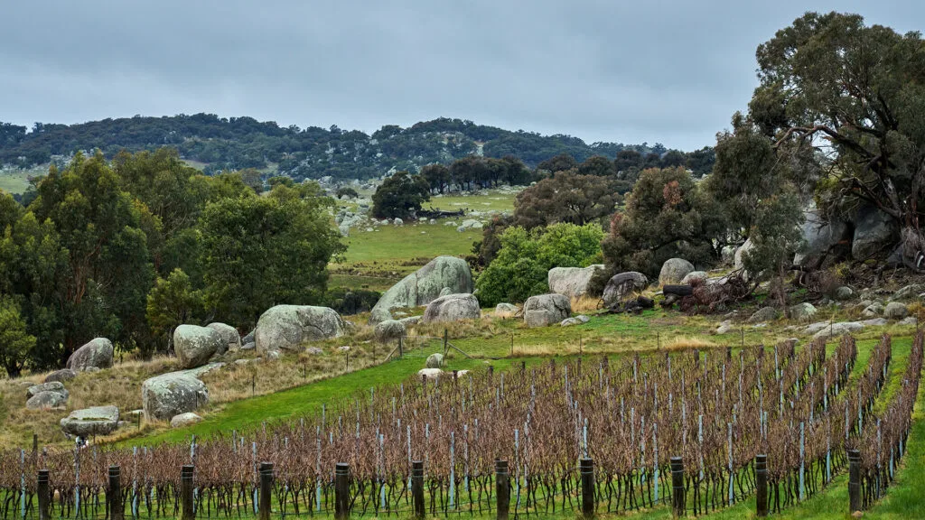 The vineyards in Heathcote