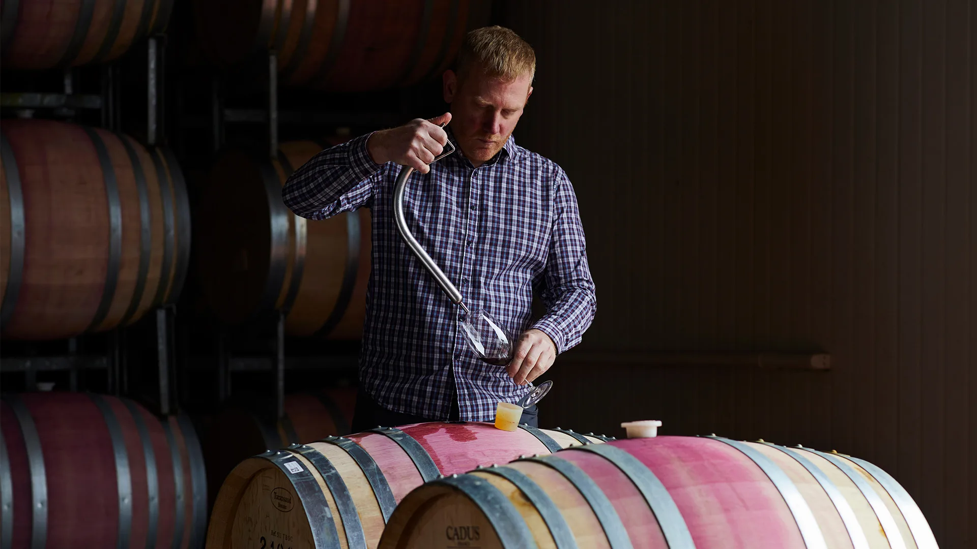 Tom Wallace barrel tasting at Devil's Corner, Tasmania