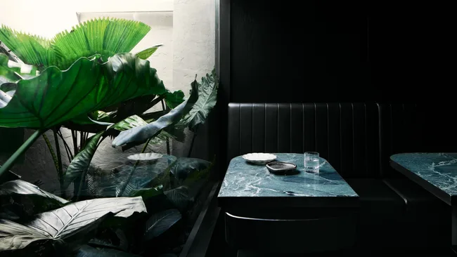 A photograph of the interiors of Essa, Fortitude Valley, featuring a giant outdoor plant on the other side of the window to the dining room.