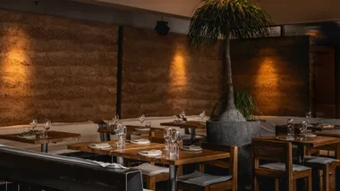 The interiors at Gerard's in Brisbane, featuring a tree in the centre of the dining room and warm timber walls.