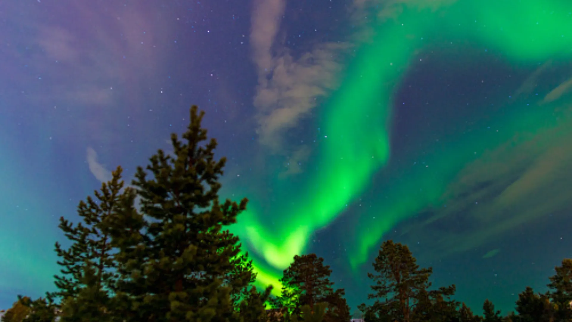 The Northern Lights aurora visible from Alta in Norway
