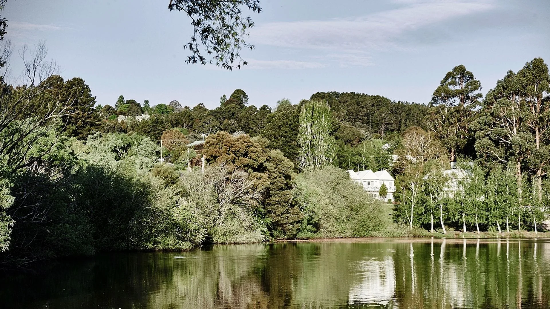 The view at Lake House Daylesford.