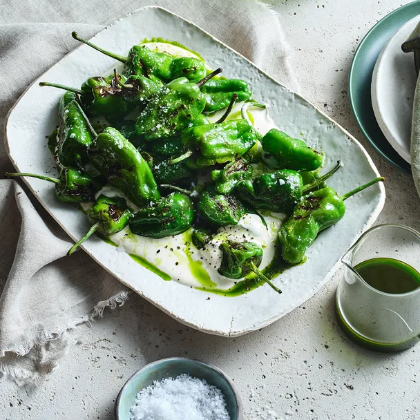 Padr&oacute;n peppers with whipped feta and herb oil on a white plate