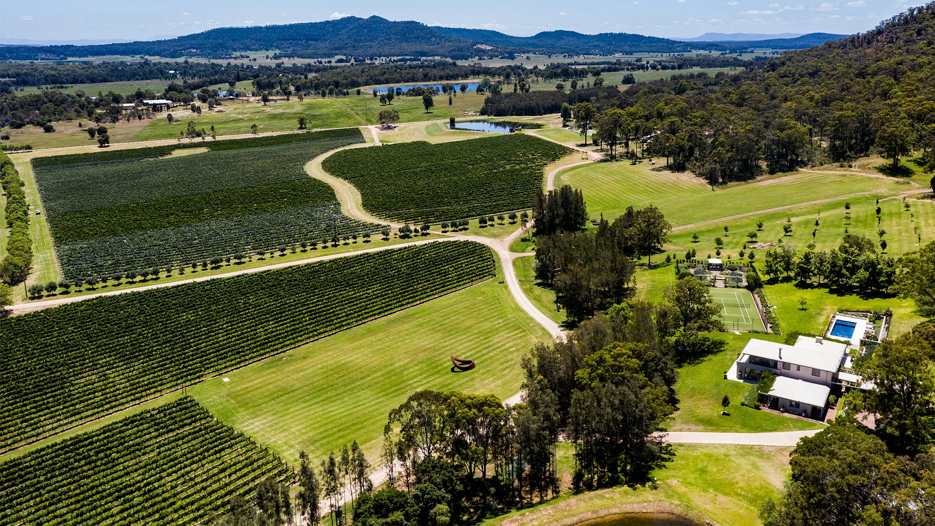 View of the vineyards at Winmark Wines in Broke NSW.
