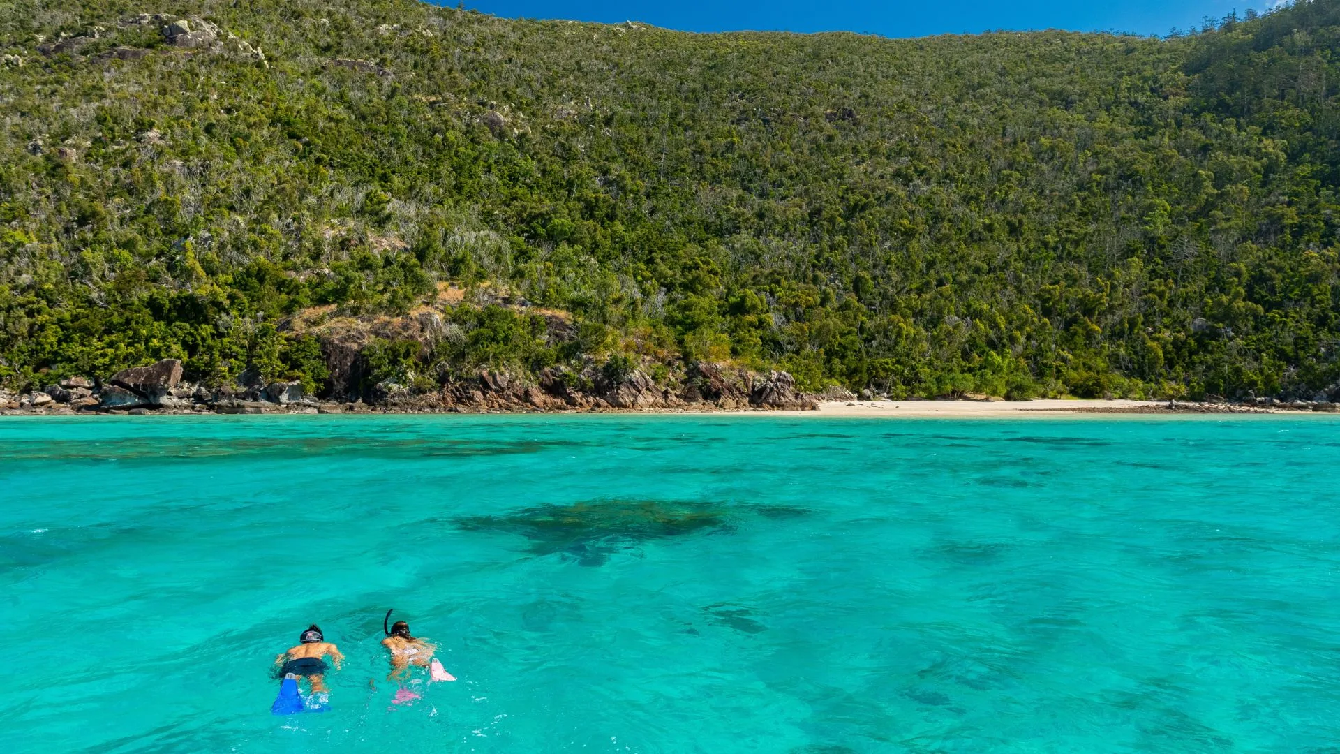 Snorkelling at Hook Island, Whitsundays Queensland