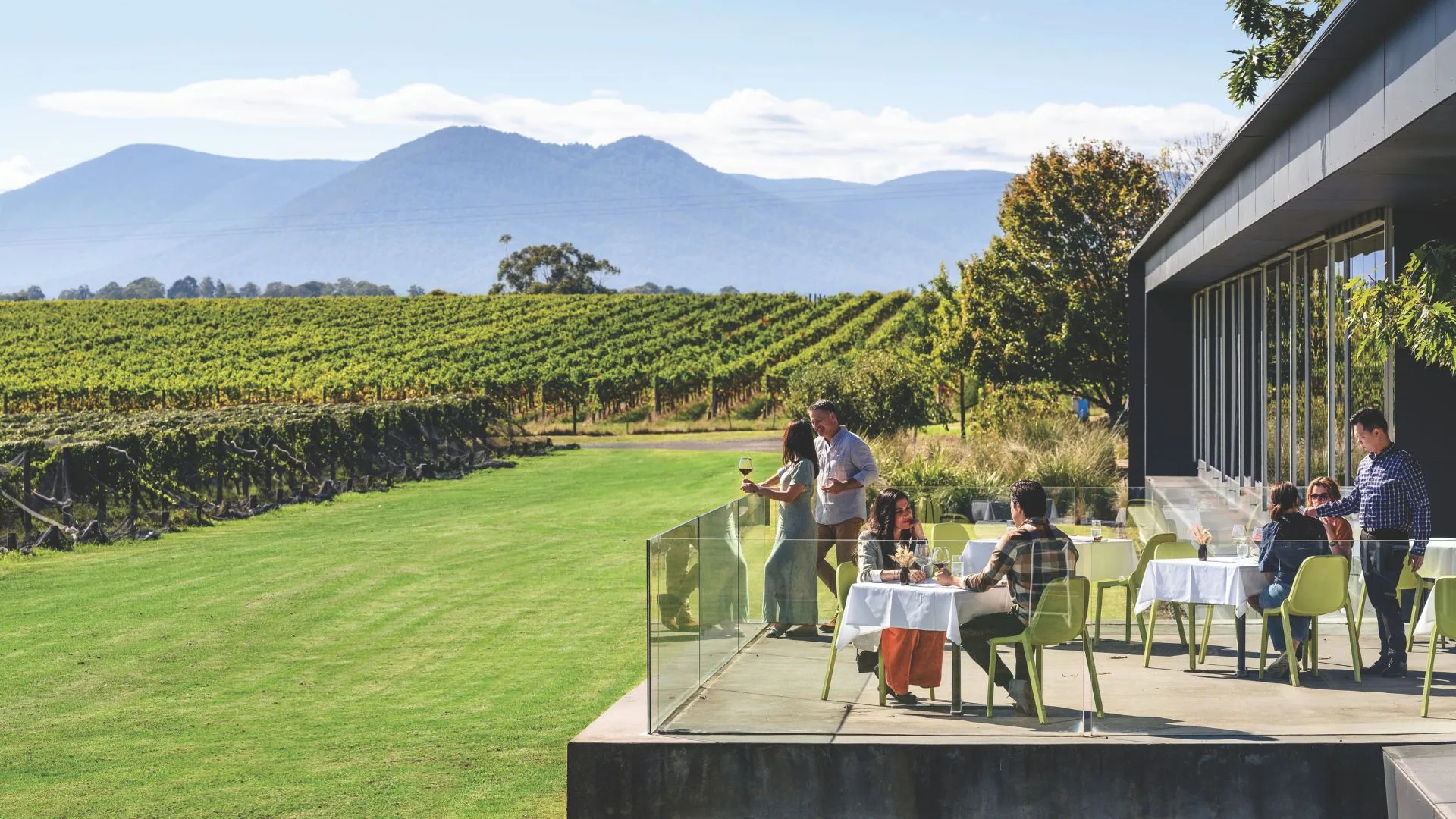 Oakridge cellar door and vineyards in Yarra Valley