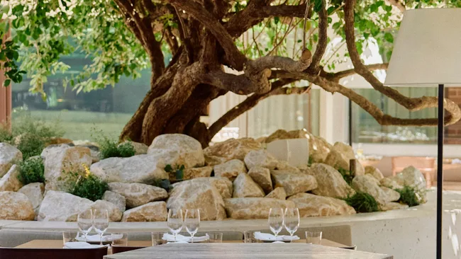 The iconic tree looms large over Olympus Dining room.