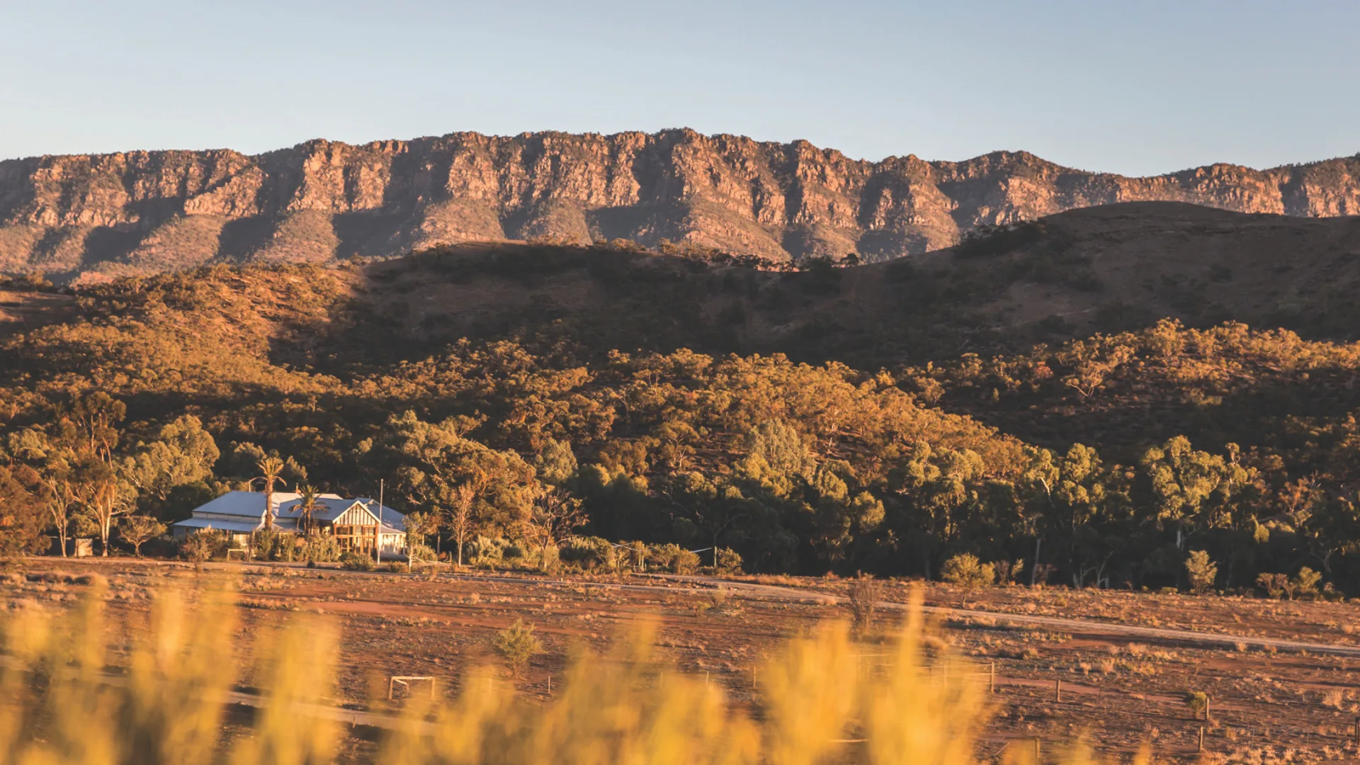 Arkaba Homestead bathed in golden light in the outback, Flinders Ranges.