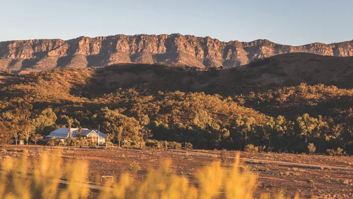 Arkaba Homestead bathed in golden light in the outback, Flinders Ranges.