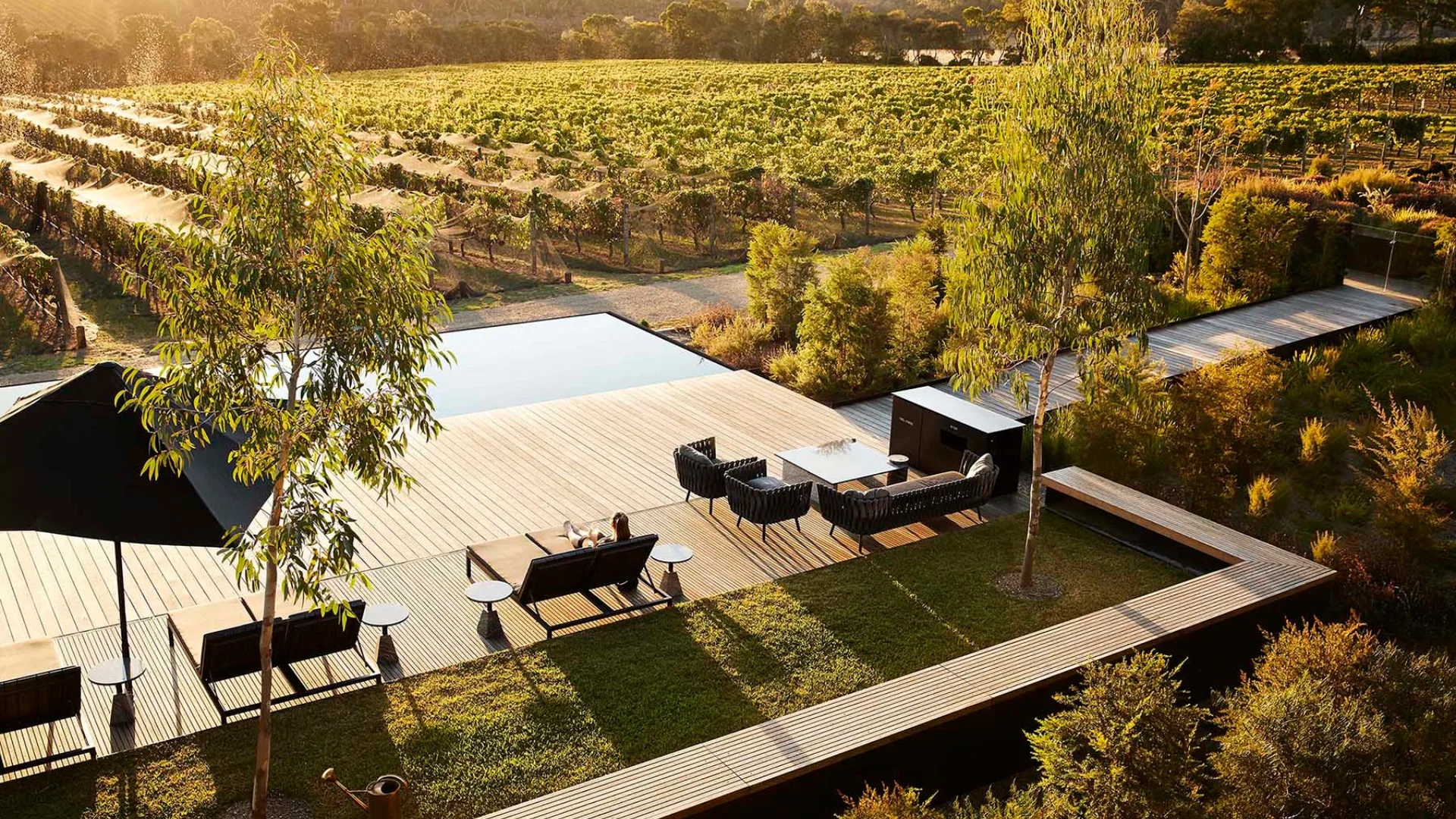 The infinity pool overlooking vineyards at Jackalope Hotel, Mornington Peninsula