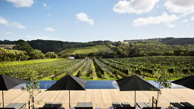 Sweeping vineyard views from the outdoor deck at Jackalope Hotel, Mornington Peninsula