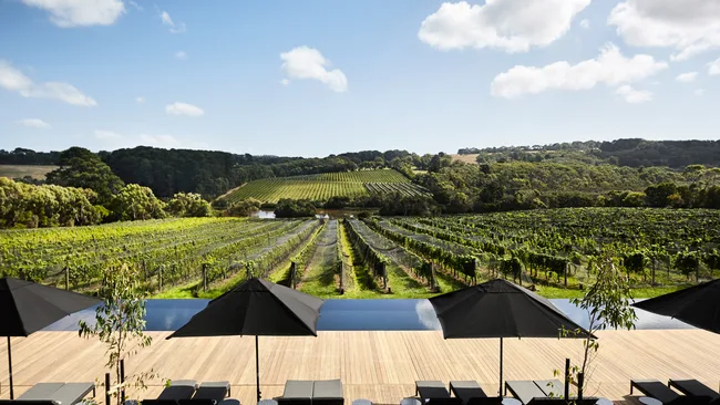 Sweeping vineyard views from the outdoor deck at Jackalope Hotel, Mornington Peninsula