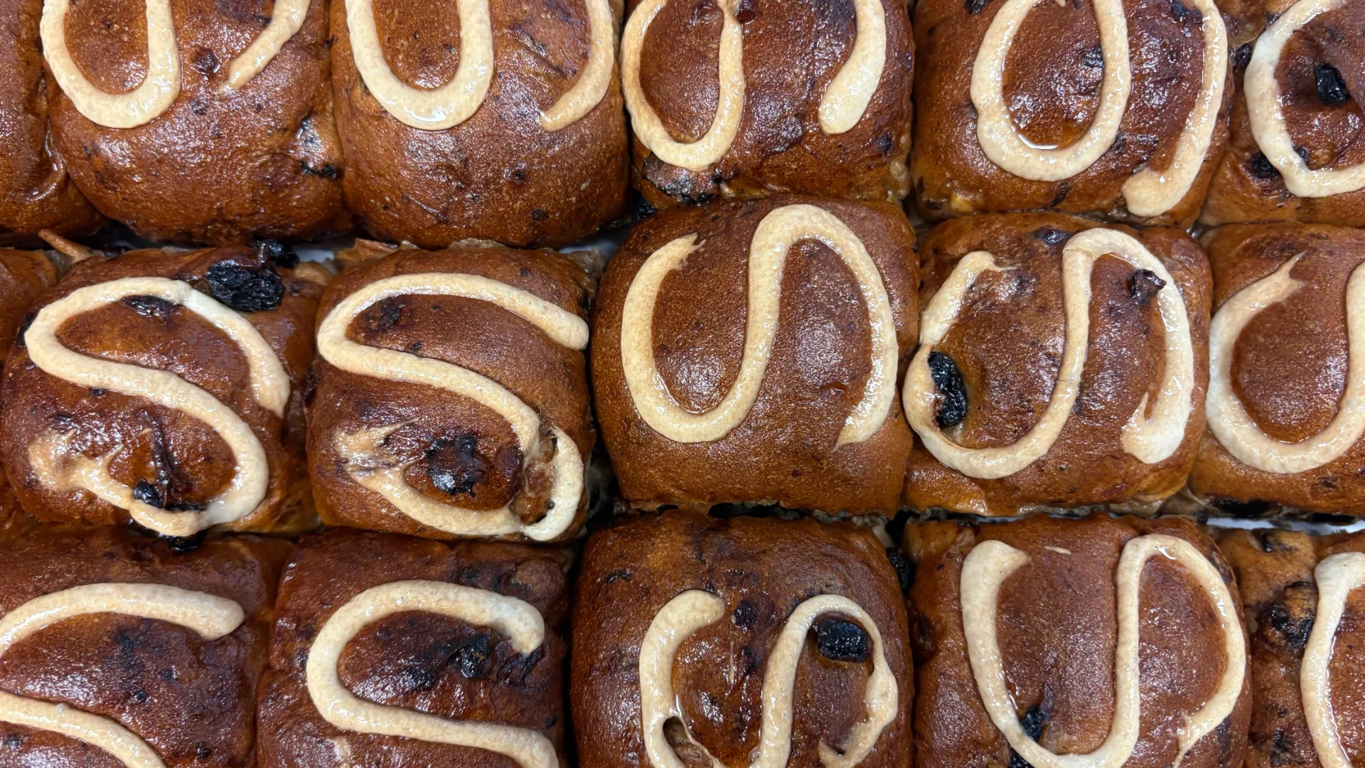 Sonoma's hot cross buns