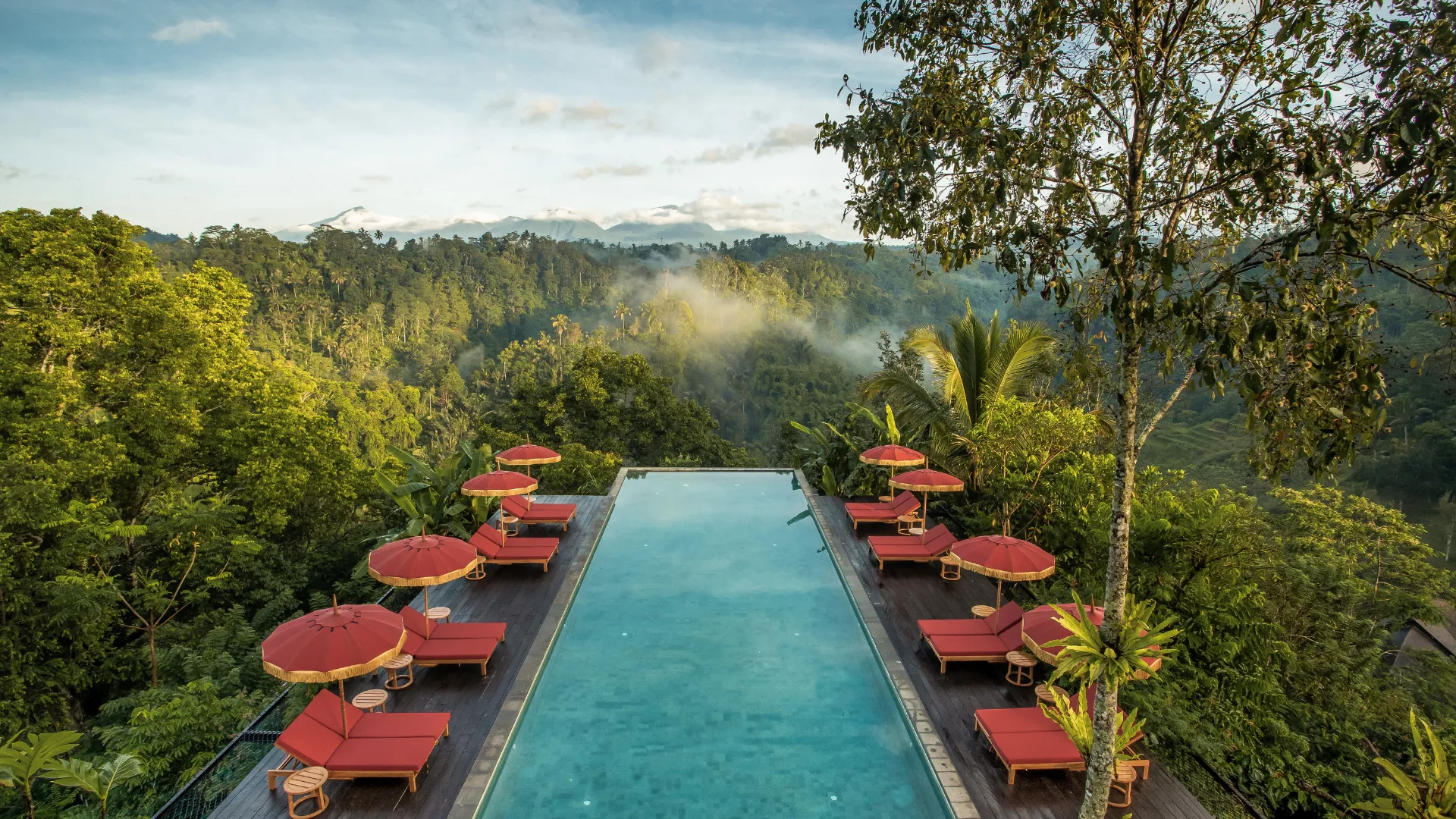 The pool and the treetops at Banyan Tree, a Bali wellness retreat