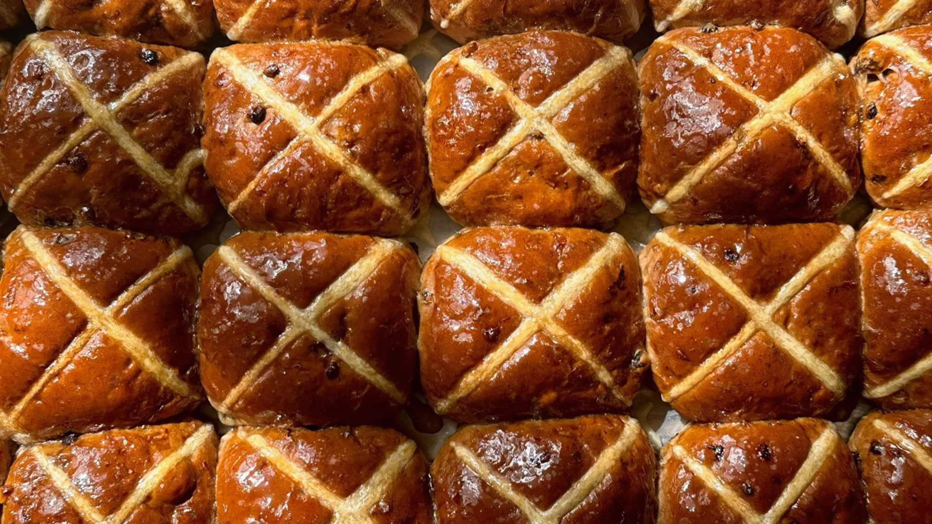 Fabbrica's hot cross buns