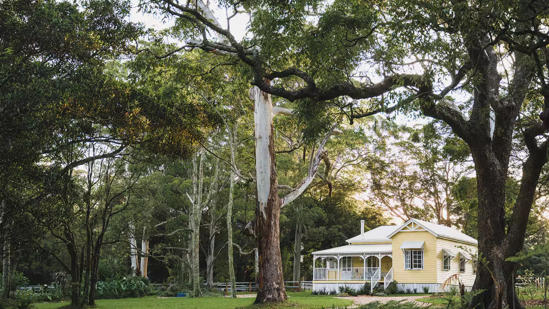 The facade of Wattle COttage on the Scenic RIm