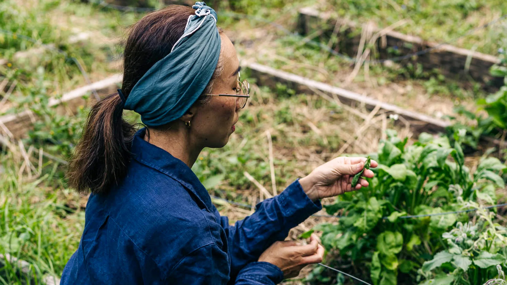 Chef Kimie Uemoto in the The Nursery garden Lord Howe Island