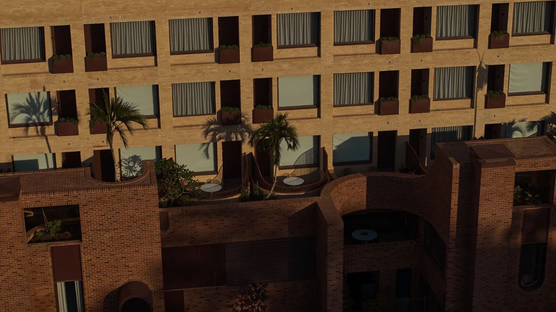 The exterior of The Eve Hotel, Sydney with palm trees and private balconies
