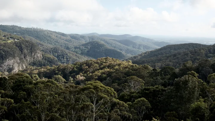 Stunning hinterland views from The Tamborine, Queensland