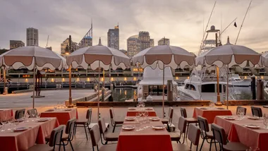 The best new restaurants and bars in Sydney
