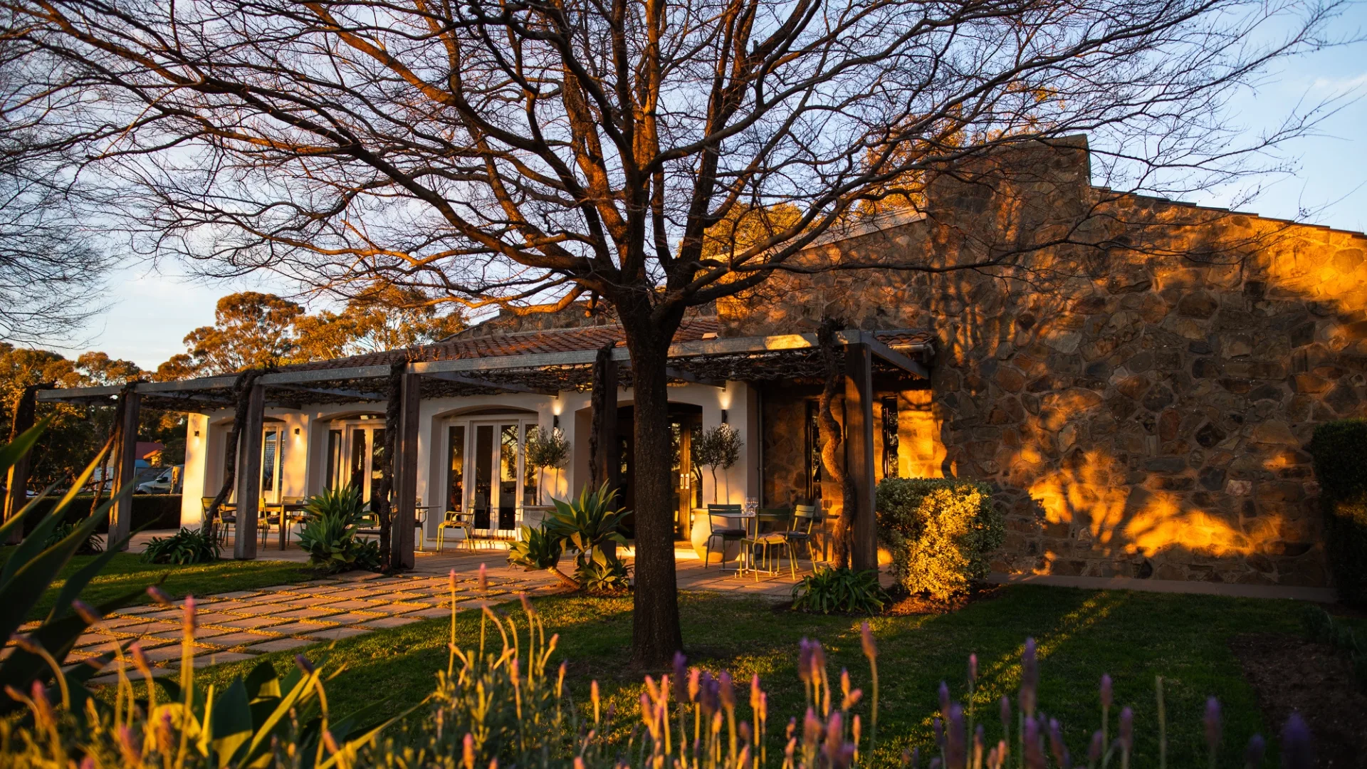 Golden hour at Vintners Bar & Grill in Angaston SA