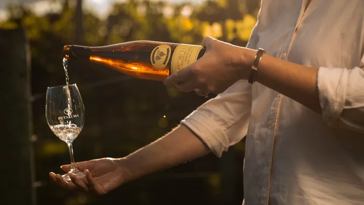 Introducing Petaluma’s 2025 Vintage Collection