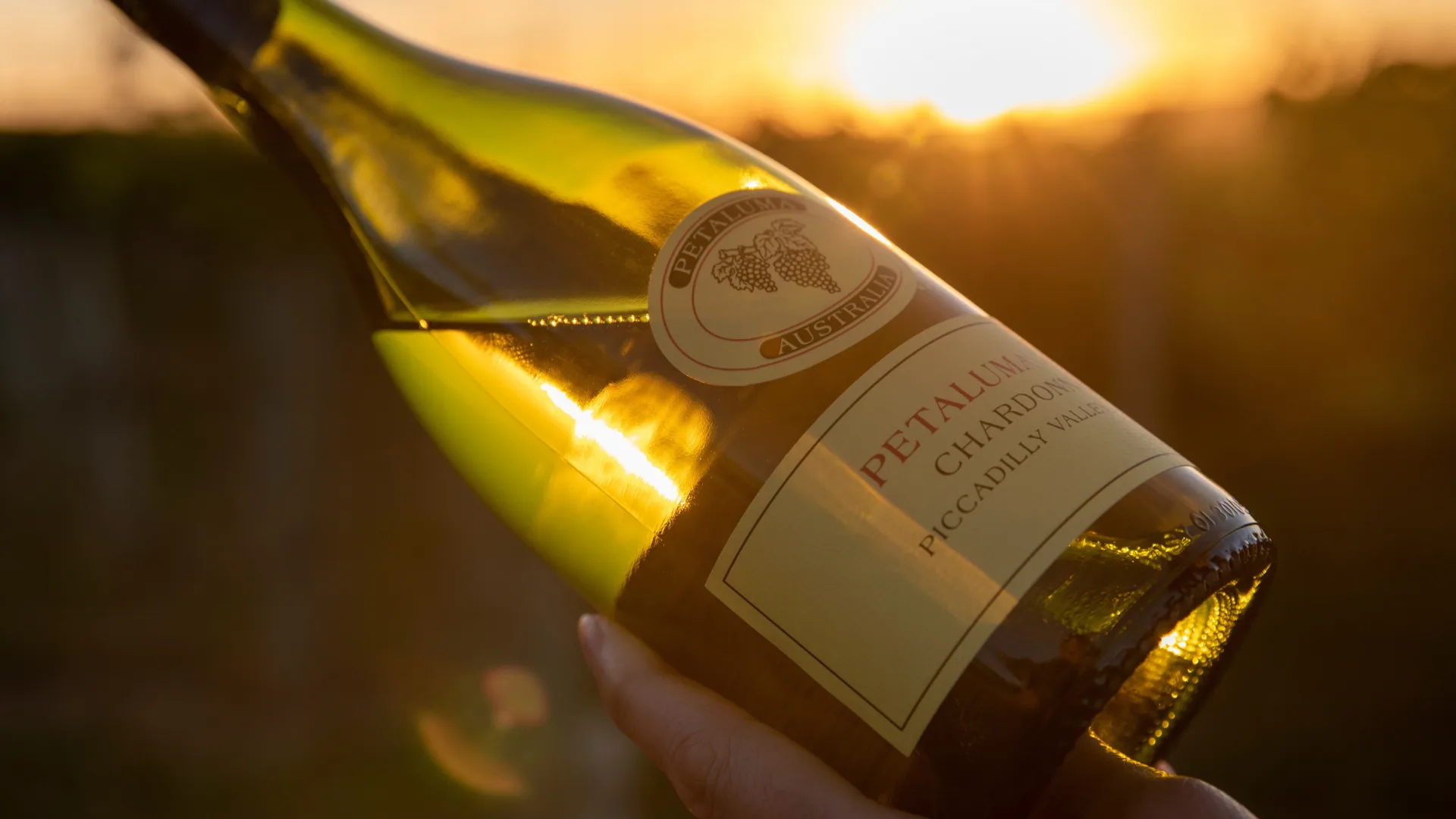 Petaluma’s 2025 Vintage Collection