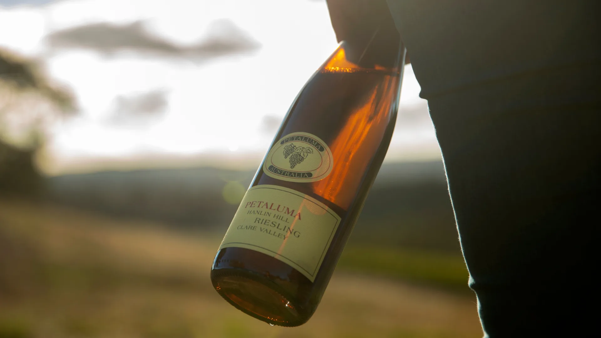 Petaluma’s 2025 Vintage Collection