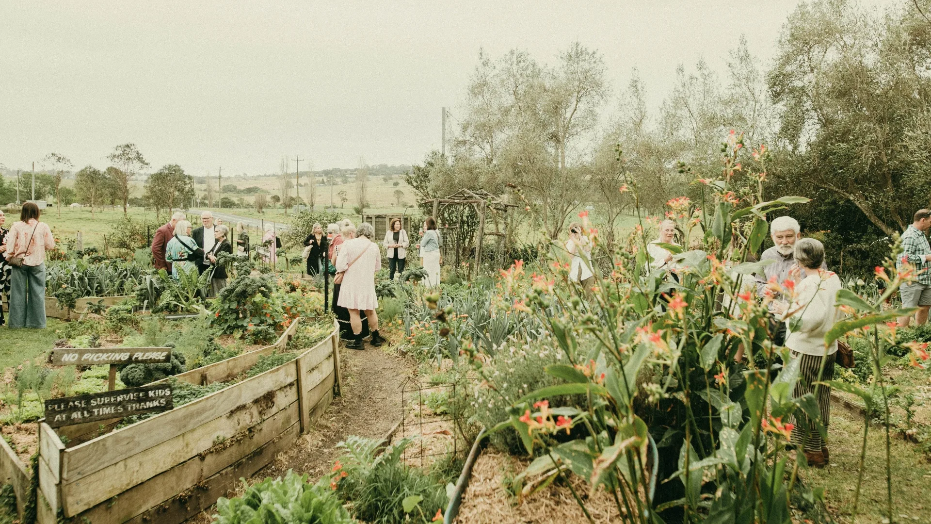 Garden scene with people as part of Meet the Maker festival on NSW South Coast