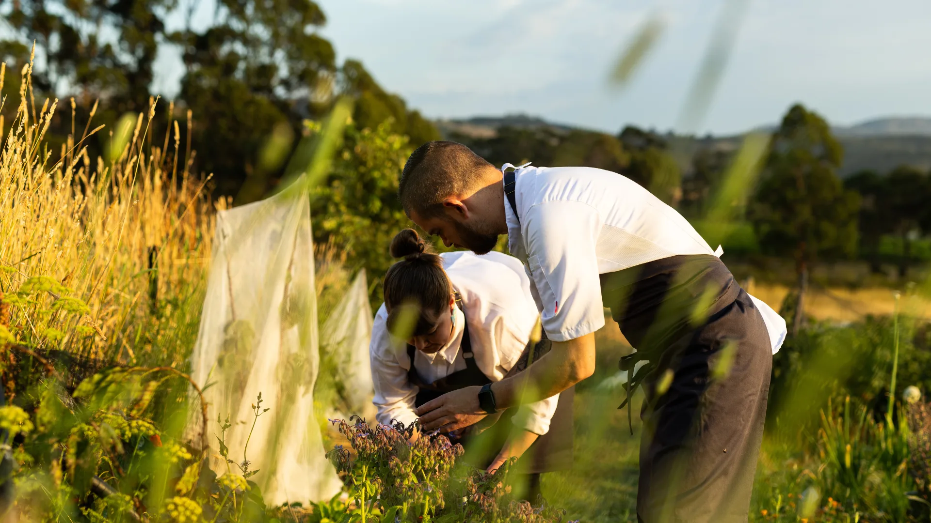 Chef-owners Jillian McInnes and Bob Piechniczek in the Oirthir kitchen garden.