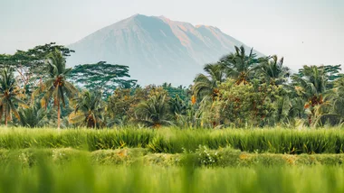 Indonesia, Tropical landscape. Rice fields, palm trees and volcano in Bali