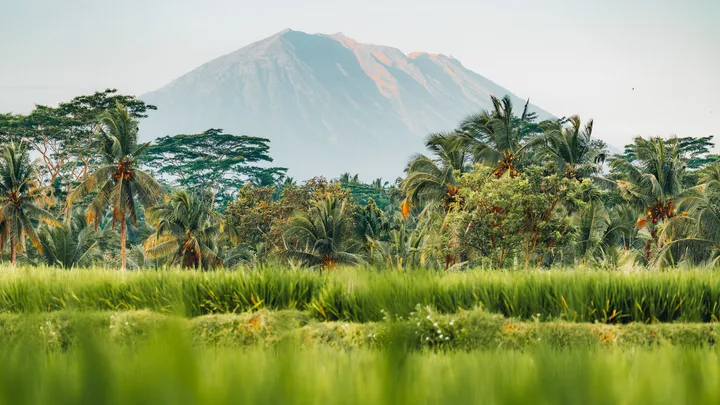 Return fares to sun-drenched shores start at $439 in Virgin Australia’s Island sale