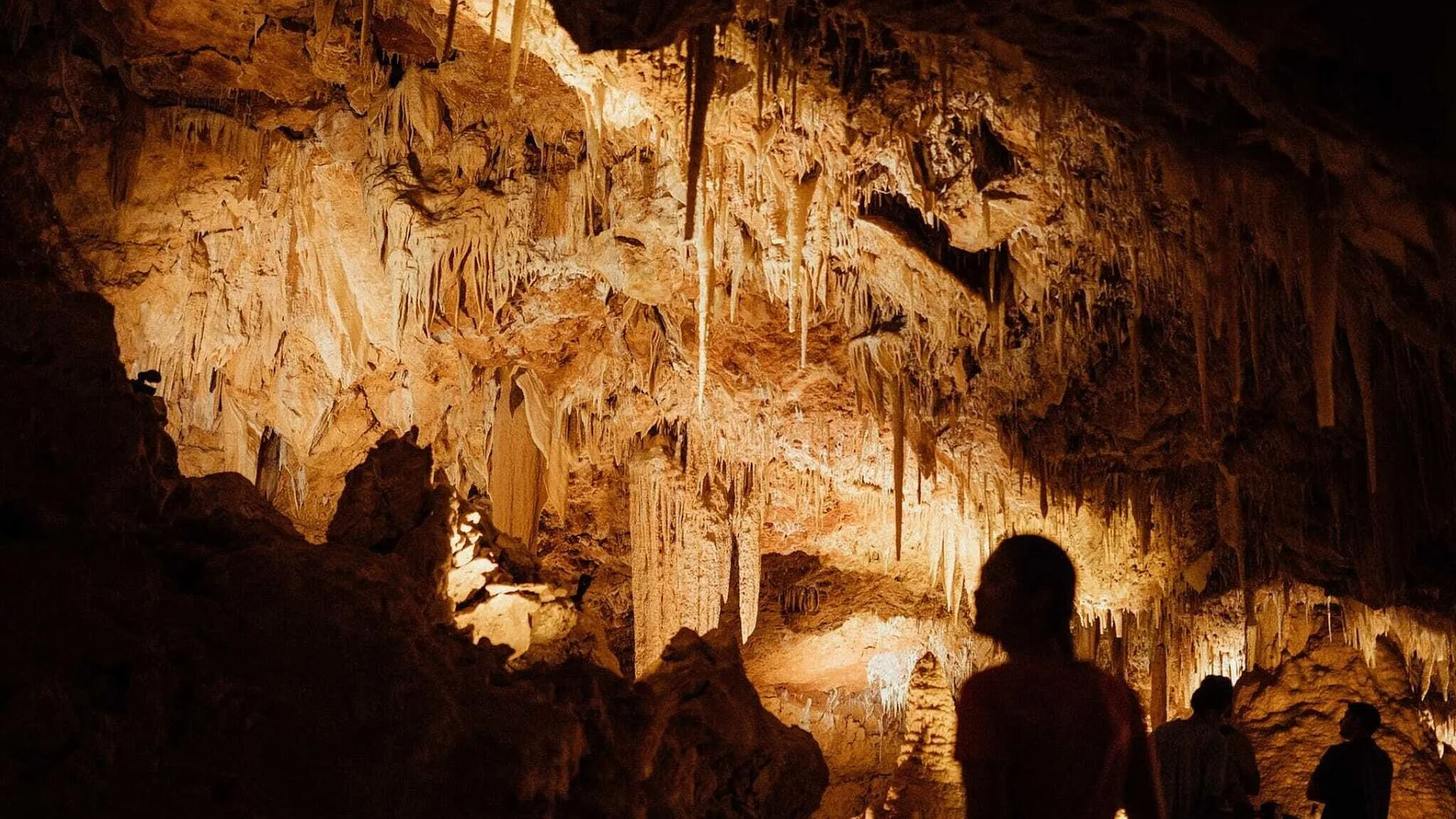 Pair’d Ngilgi Cave event 