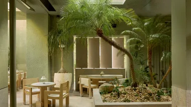 The soft green interior of Brisbane restaurant Golden Avenue