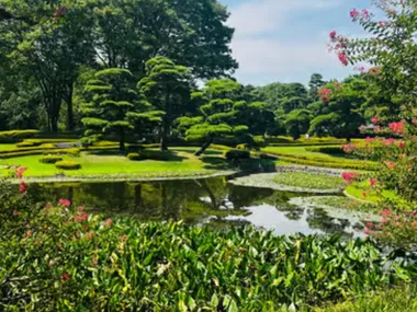 Imperial Palace and Shogun walking tour
